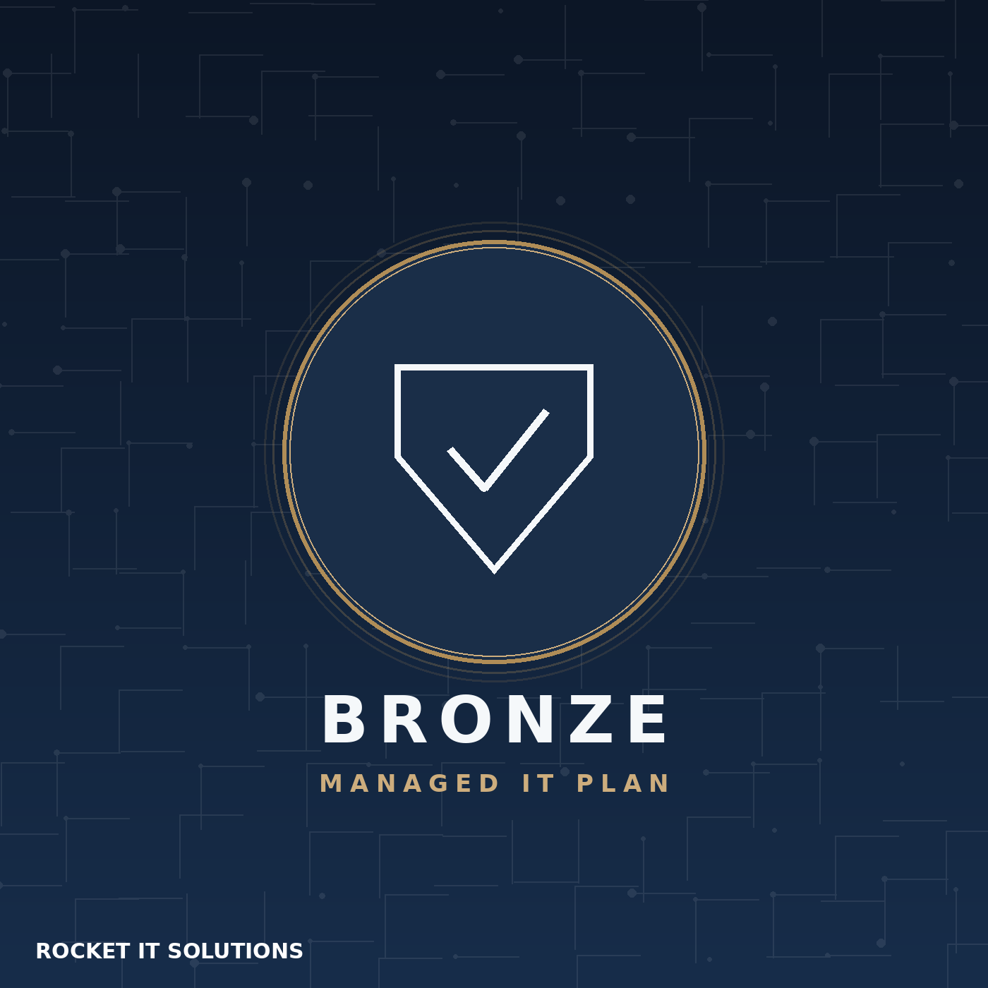 Bronze Managed IT Plan